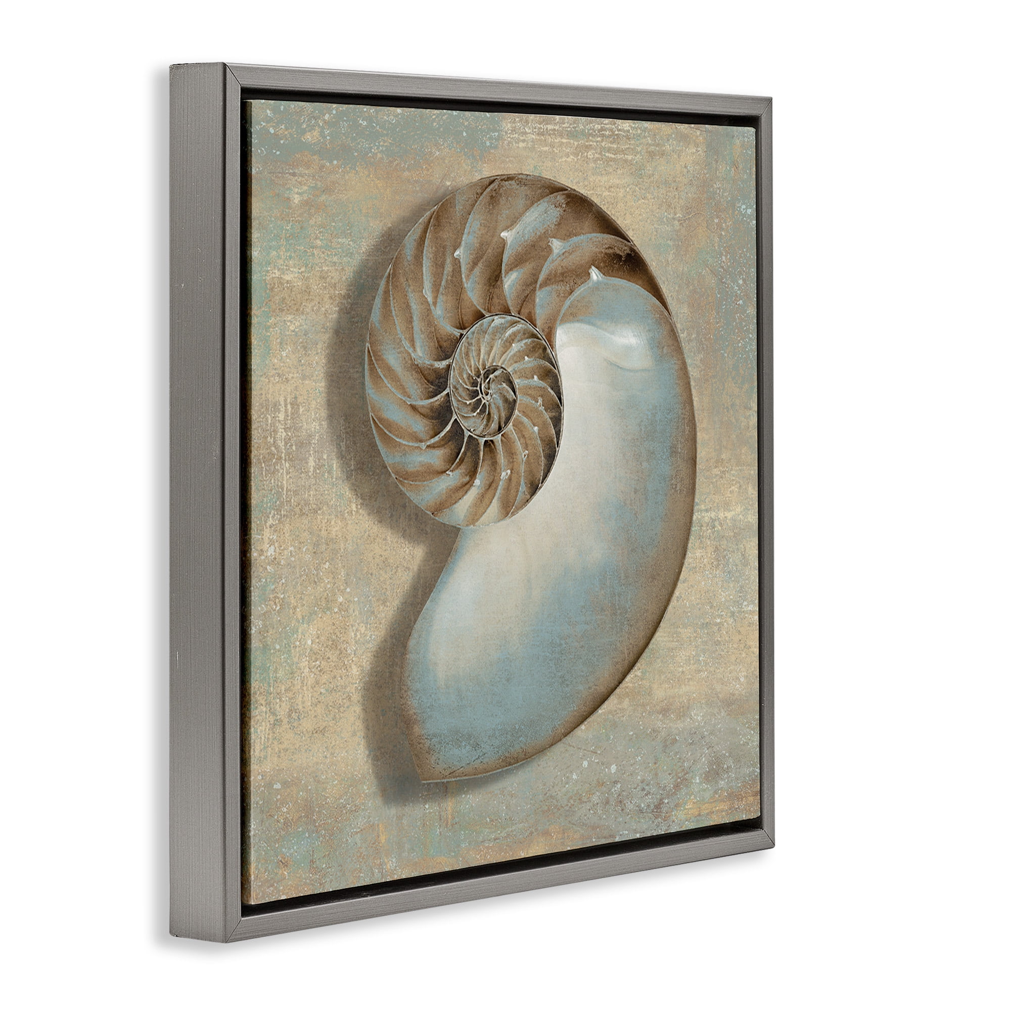 Stupell Industries Shell Beach Objects Design Nature Painting Gray Floater Framed Canvas Art Print Wall Art, 25 x 25