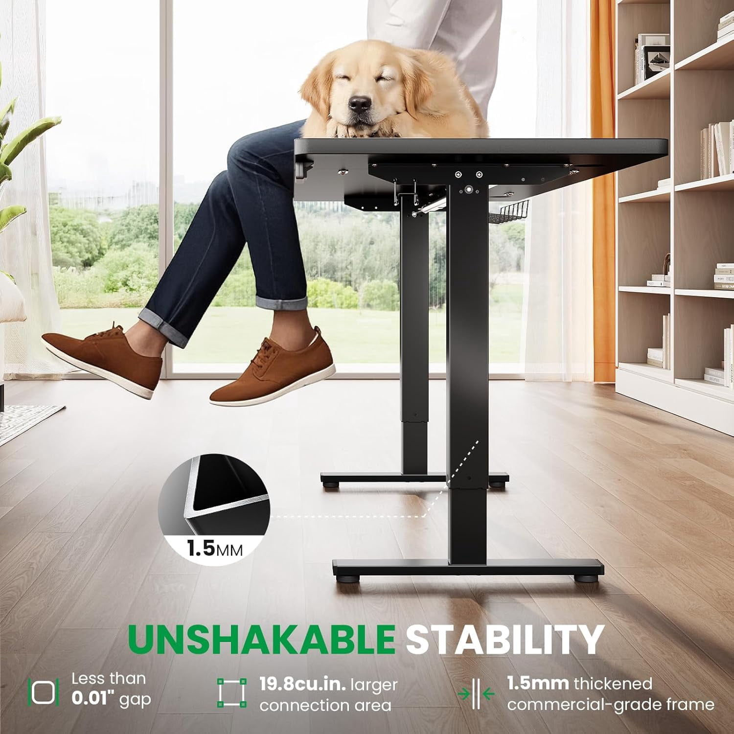 SIAGO Electric Standing Desk Adjustable - 48 x 24 Inch Sit Stand up Desk with Cable Management - 3 Memory Preset Adjustable Height Table