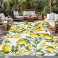 thumbnail image 2 of Lemon Outdoor Rug for Patio/Deck/Porch, Non-Slip Large Area Rug 5 x 8 Ft, Yellow Fruits Summer Watercolor Botanical Leaf Plant Indoor Outdoor Rugs Washable Area Rugs, Camping Rug Carpet Runner, 2 of 8