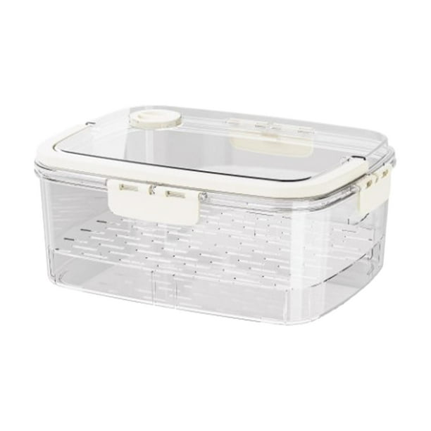 Contenedor de refrigerio de viaje con asa, multiusos para reuniones familiares. Estilo C