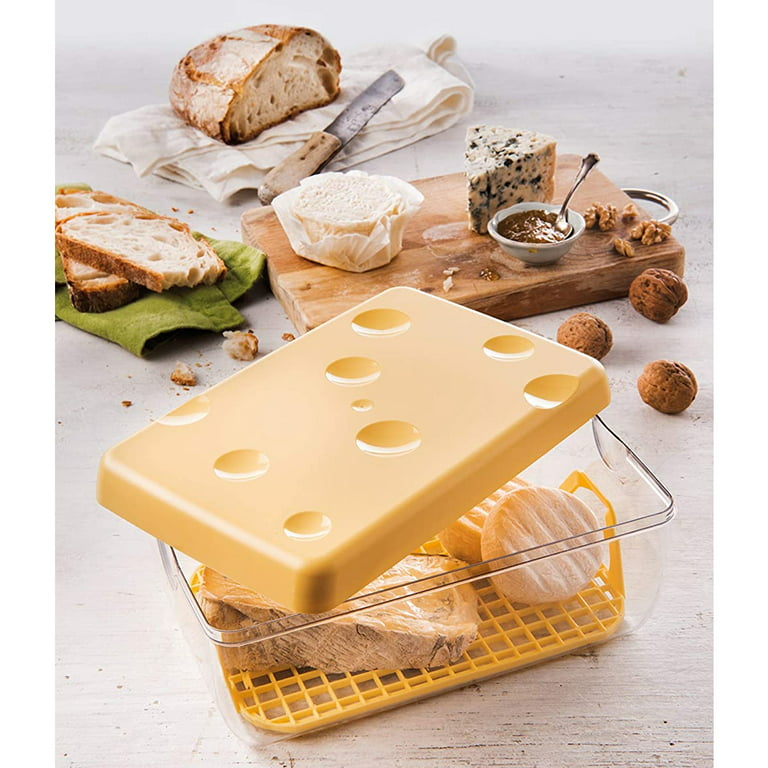 RUNROTOO containers for fridge clear tray fridge containers cream cheese  creamer container cheese container cheese keeper cheese holder cheese slice