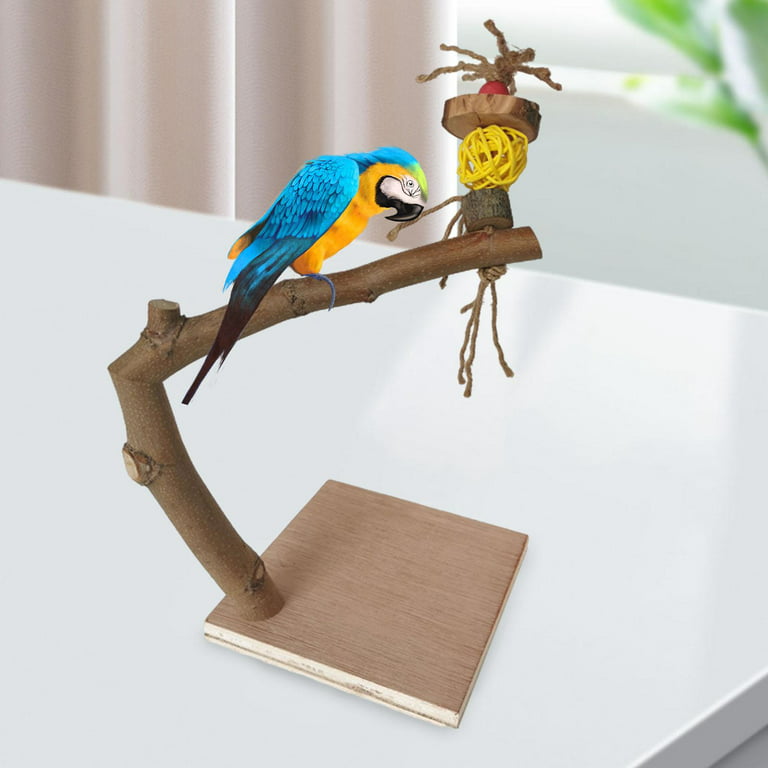 Parrot Bird Perch with Base Tabletop Platform Stand Pole, Paw