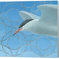 thumbnail image 1 of Common Tern by Kathrine Lovell, Canvas Wall Art, 1 of 1