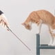 thumbnail image 2 of USB Rechargeable Laser Cat Toy with Multi-Patterns, Infrared Laser Wand Pointer Interactive Toys for Pets Cats, 2 of 5