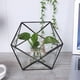 thumbnail image 5 of Terrario Geométrico De Cristal ANGGREK Macetero de Vidrio 17 x 10 x 10 cm, 5 of 8