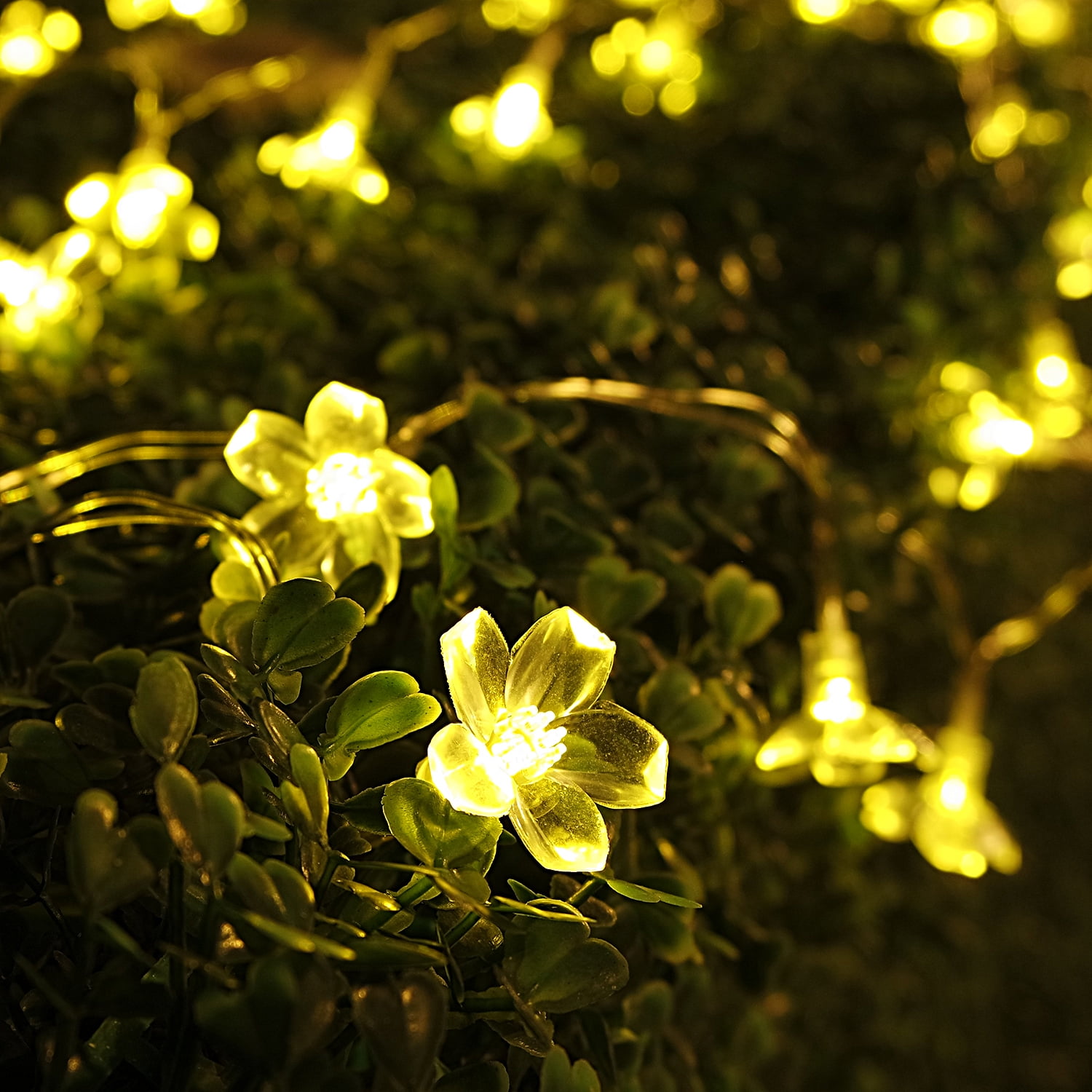 TORCHSTAR 16.4ft String Lights 50 LED Blossom Flower Lights, Garden