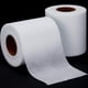 thumbnail image 1 of Papel higiénico Fake Prank Skylety No Tear Gag Joke, 2 rollos, 1 of 8