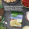thumbnail image 7 of Knorr Pasta Sides Alfredo Fettuccine Made with No Artificial Flavors, 4.4 Oz Pouch, 7 of 7
