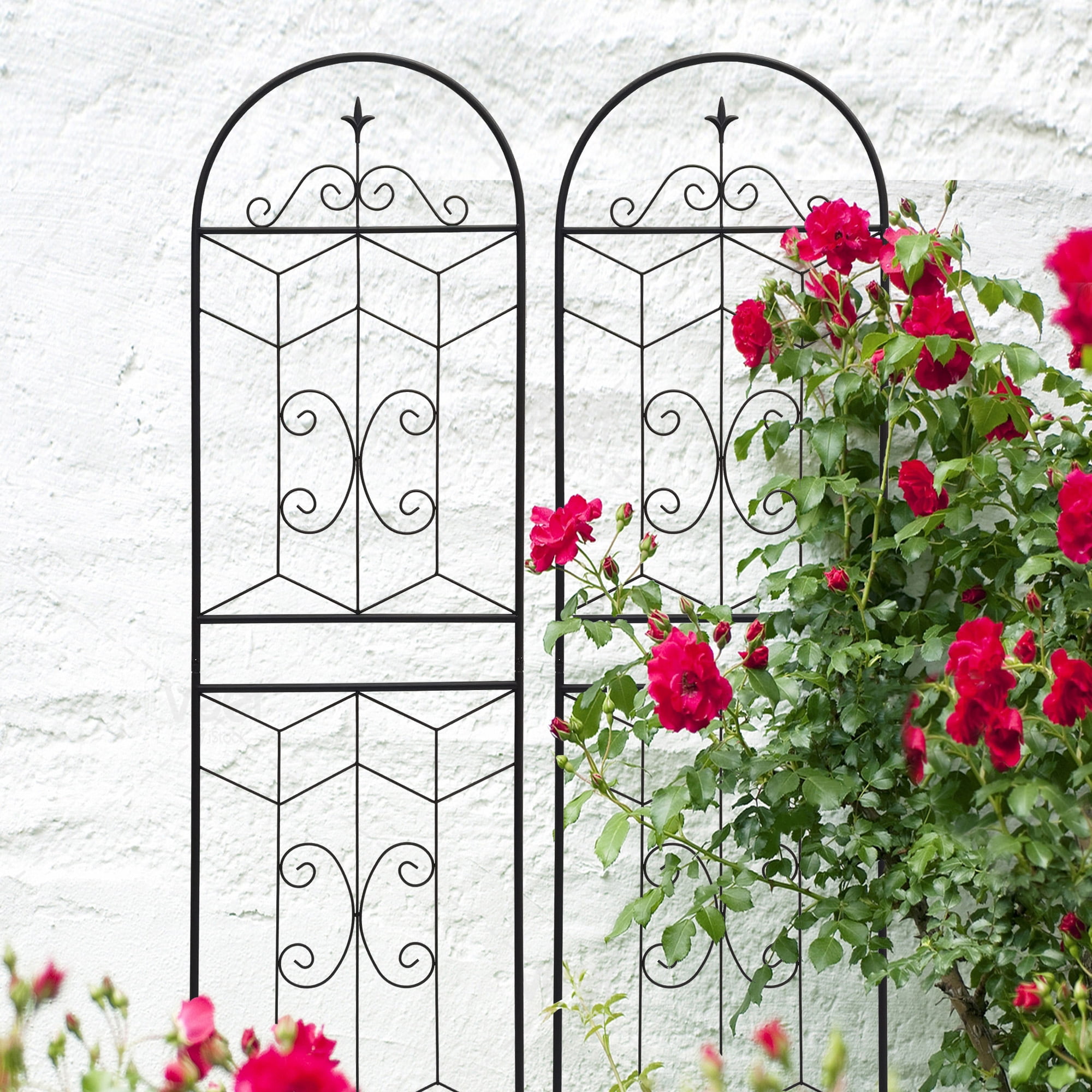 Olurrisa Rustproof Iron Trellis Kit (4 Pack) - 71" x 19.7" Expandable Plant Grids for Grapes, Beans & Vertical Gardening, Easy Assemble Powder Coated