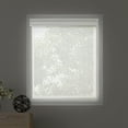 thumbnail image 2 of Chicology Solar Free-Stop Cordless Roller Shades, 2 of 8