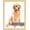 oak, variant on 12x16 Picture Frame White - Polished Plexiglass, Wall-Mountable, Hanging Kit Included. Suited for Family Portraits, Scenic Landscapes, Wedding Shots & More. Durable, Stylish, Adorns Home.