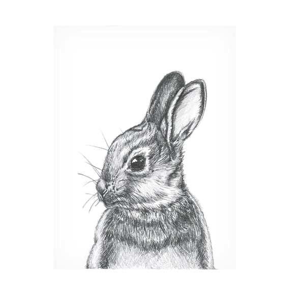 Canvas Wall Art - Lor Muller 'Cottantail' Wall Art for Living Room, Bedroom, or Office Décor by Trademark Fine Art - 14 x 19 Inches