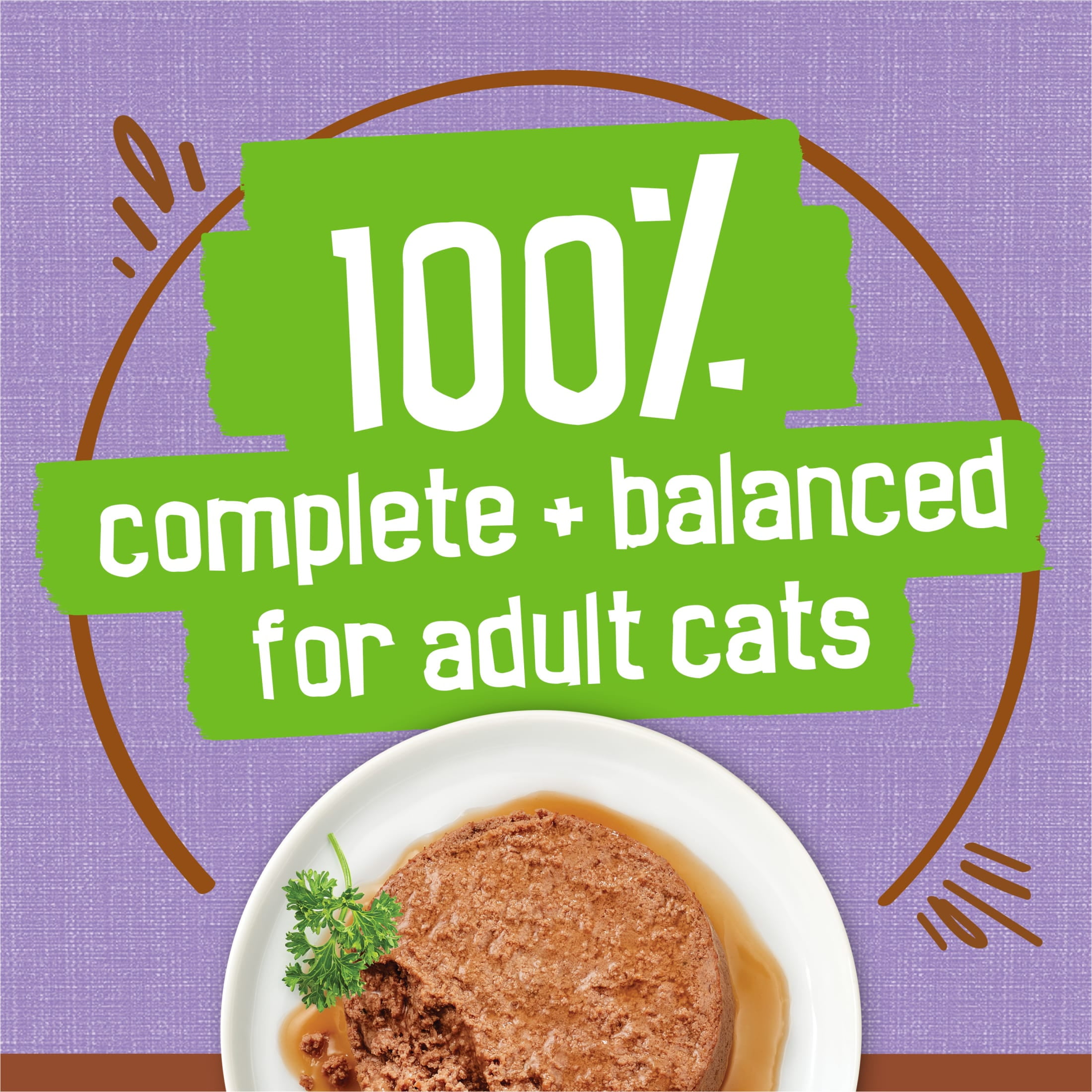 Purina Friskies Gravy Pate with Turkey in Savory Gravy, Wet Cat Food, 5.5 oz. Cans, 24 Pack