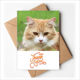 thumbnail image 1 of Rayas amarillas Cat Stare animal Nota en blanco del sobre de la tarjeta de agradecimiento, 1 of 4