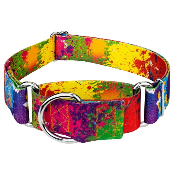 Country Brook Petz® 1 1/2 inch Paint Splatter Martingale Dog Collar, Large