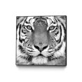 thumbnail image 1 of Giant Art Canvas  20x20 Tiger Framed in White, 1 of 3
