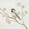 thumbnail image 2 of Nai, Danhui 20x20 White Modern Wood Framed Museum Art Print Titled - Black Capped Chickadee Vintage, 2 of 4