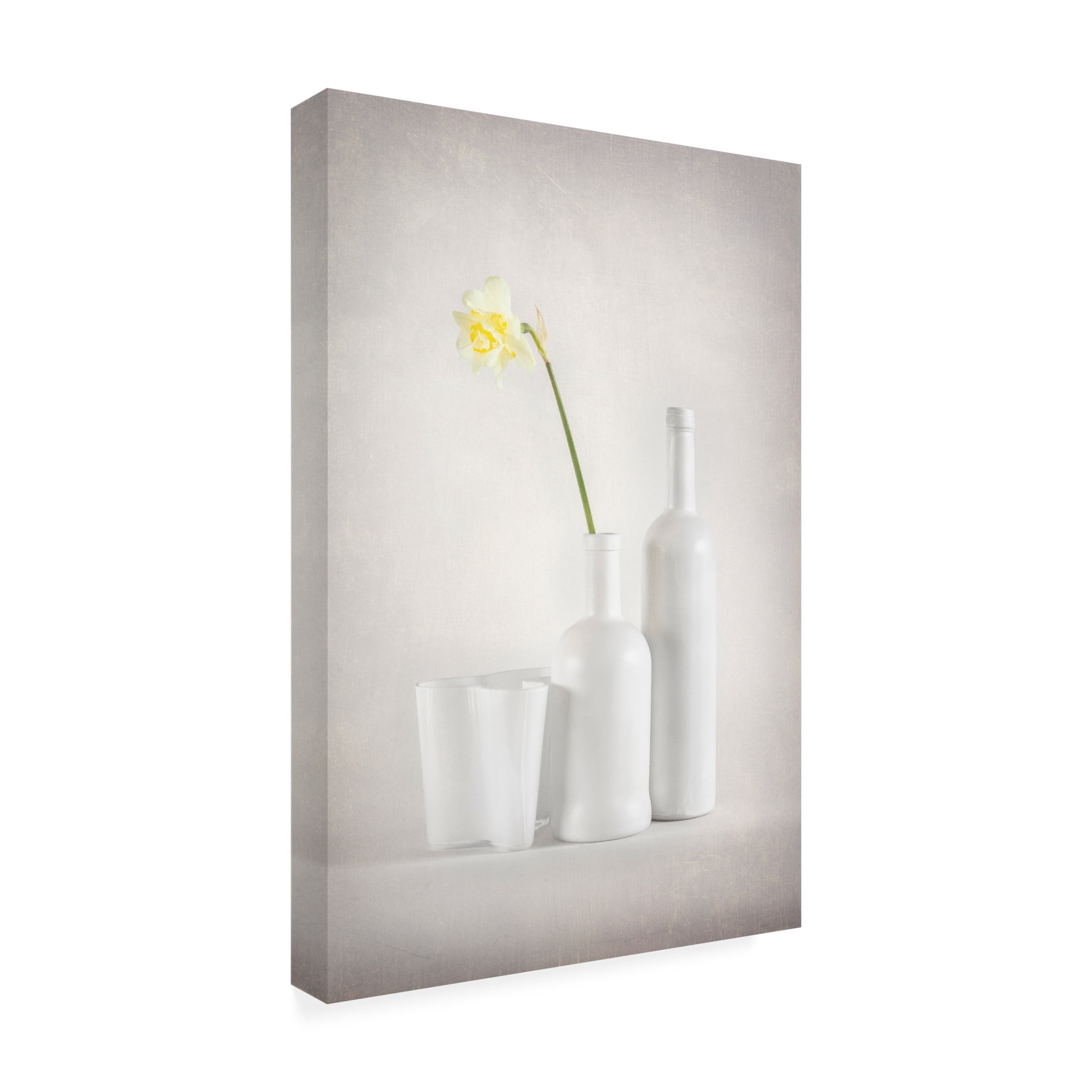 Canvas Wall Art - Richie Hatch 'Whitebloom' Wall Art for Living Room, Bedroom, or Office Décor by Trademark Fine Art - 30 x 47 Inches