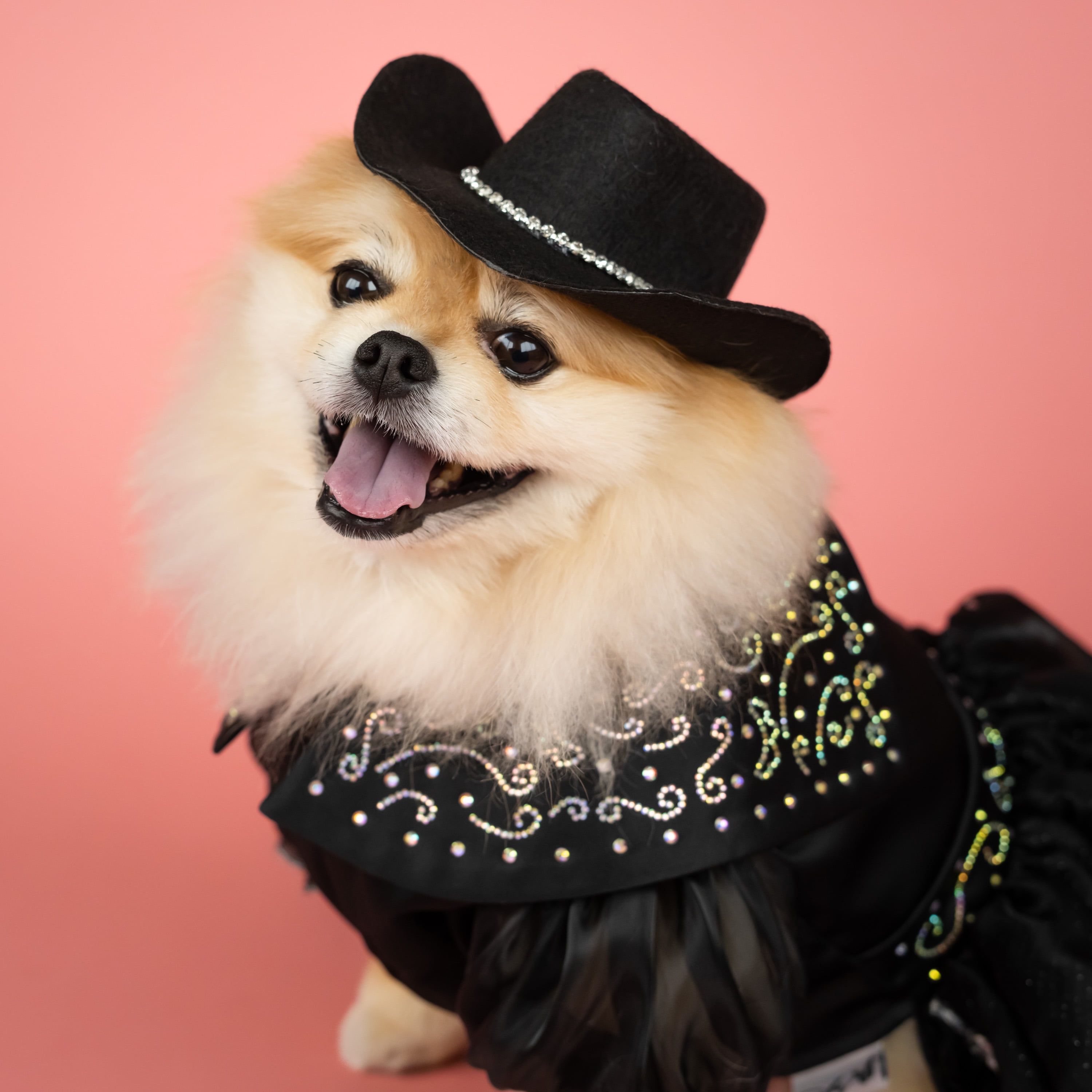 Doggy Parton, Dog and Cat Clothes, Shimmering Evening Pet Dress, Black, XS