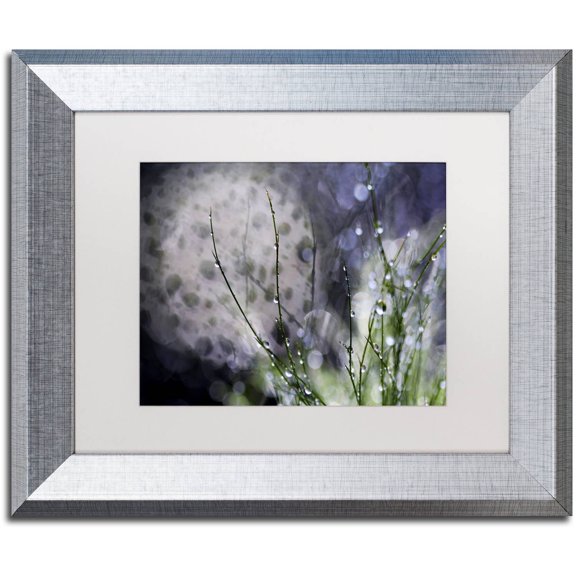 Trademark Fine Art "Morning Tale" Canvas Art by Beata Czyzowska Young, White Matte, Silver Frame