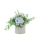 thumbnail image 1 of Flores artificiales, plantas verdes falsas, plantas en macetas, pequeñas decoraciones, decoración para el hogar, sala de estar, comedor, bonsái, 1 of 5