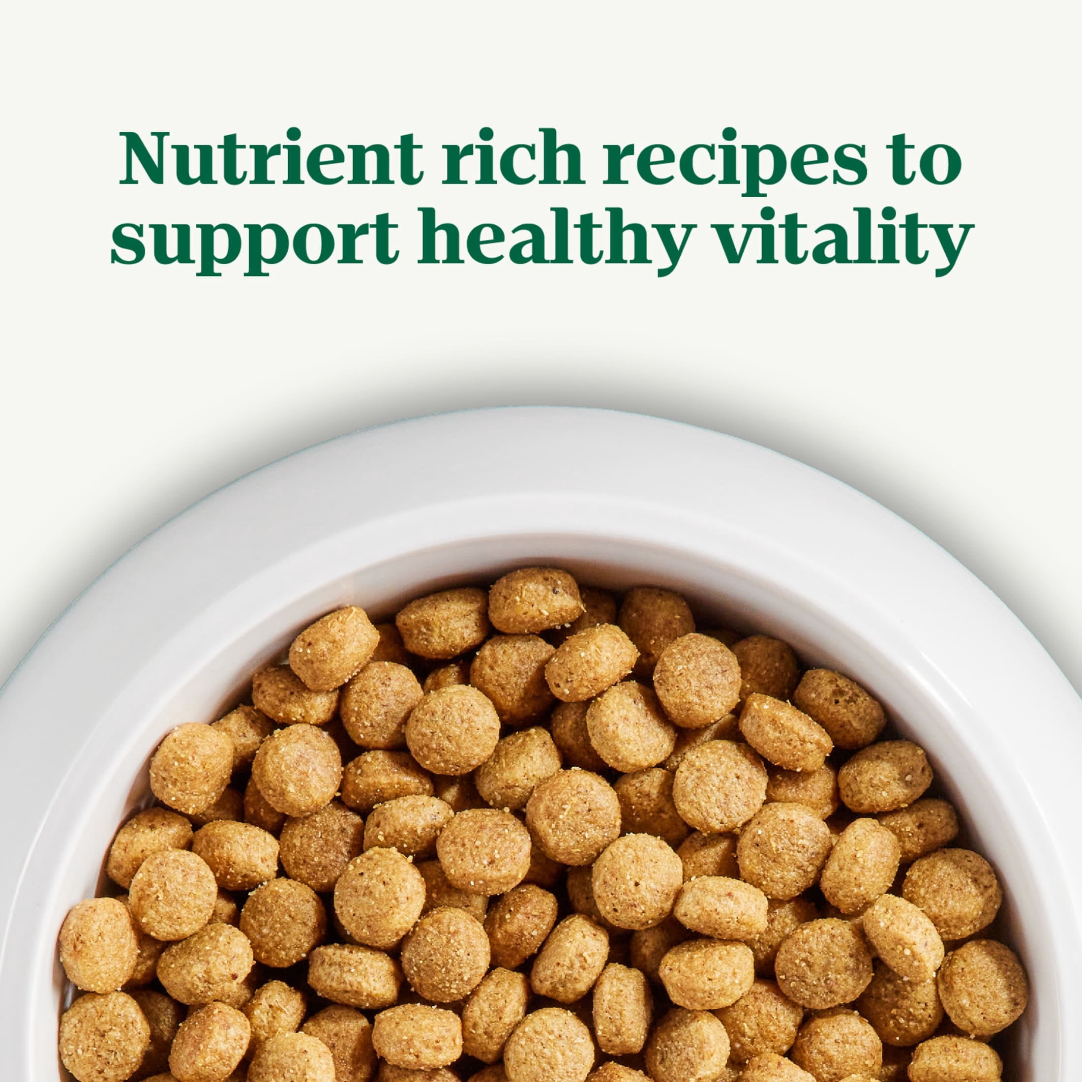 Nutro Natural Choice Adult Dry Dog Food, Chicken And Brown Rice Recipe 13 Lbs.