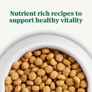 Nutro Natural Choice Adult Dry Dog Food, Chicken And Brown Rice Recipe 22 Lbs.