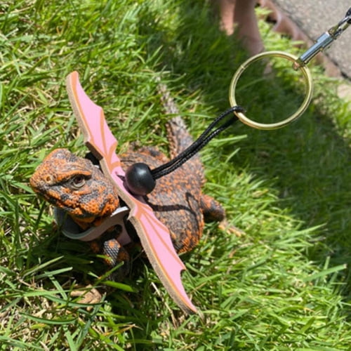  3 Packs Bearded Dragon Harness and Leash Adjustable(S,M,L) -  Soft Leather Reptile Lizard Leash for Amphibians and Other Small Pet  Animals : Pet Supplies