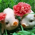 thumbnail image 3 of Garden Ornaments, Garden Statue Baby Pig Decorative, Cute Pig Garden Statue Resin Lawn Ornaments, Durable Farmhouse Animal Sculpture Art Decoration for Home Outdoor Decor, 3 of 8