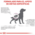 thumbnail image 2 of Alimento para Perro Royal Canin Renal Suport S Canine 8 kg Royal Canin Veterinario 8 kg, 2 of 3