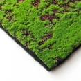 thumbnail image 1 of Micropaisaje de musgo artificial, césped artificial, decoración ecológica, botella O5J9, 1 of 6