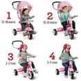 Radio Flyer, Ready to Ride 4in1 Stroll 