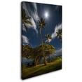 thumbnail image 2 of Trademark Fine Art 'Moonlit Palm Trees' Canvas Art by Pierre Leclerc, 2 of 3