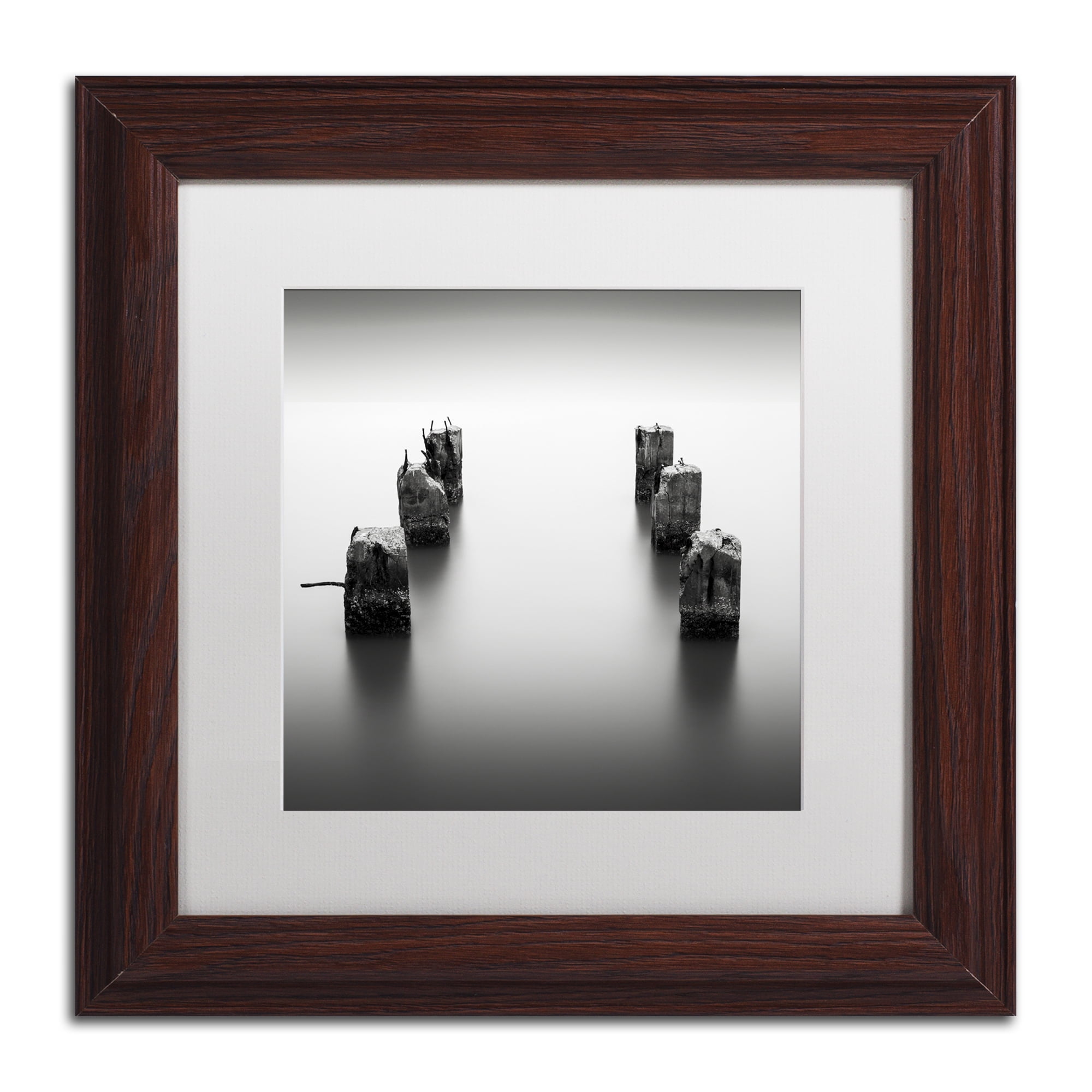 Trademark Fine Art "Pillars" Canvas Art by Dave MacVicar, White Matte, Wood Frame