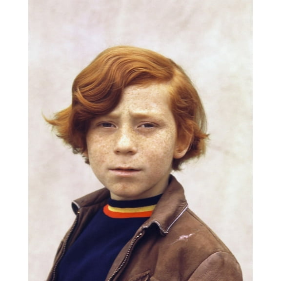 Danny Bonaduce The Partridge Family 24X36 Classic Hollywood Poster