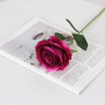 thumbnail image 1 of Flannel Roses, Silk Flowers, Fake Flowers, 1 of 1