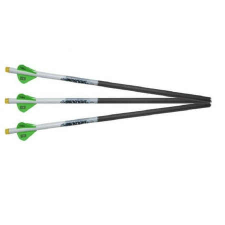 Pro Flight Arrows