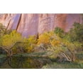 thumbnail image 2 of Paulson, Don 32x23 Gold Ornate Wood Framed with Double Matting Museum Art Print Titled - Utah, Glen Canyon NRA An oasis in Forest Cove, 2 of 4