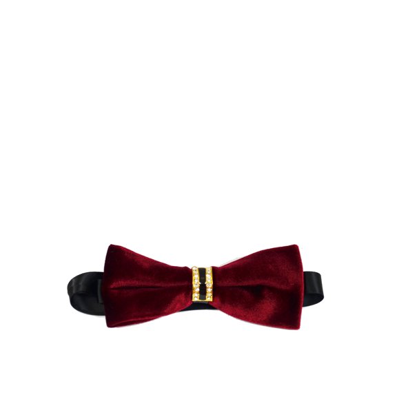 Solid Burgundy Velvet Bow Tie
