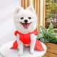 thumbnail image 5 of Pisexur Suministros para mascotas Vestido de novia para mascotas, ropa para perros, suministros que se pueden colgar y atar perros, gatos y animales.perros, gatos y animales, 5 of 6
