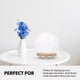thumbnail image 3 of unbranded 1Jgo De Vidrio Y Madera Con Cubierta Luminosa Para Flores Y Paisajes Micro, 3 of 8