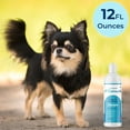 thumbnail image 6 of Replenish Aloe & Oatmeal Conditioner for Dogs & Cats, Moisturizing Hypoallergenic Formula for Dry, Itchy Skin, 6 of 8