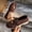 Coffee, variant on BRGZLK Iron Tipped Loafers for Women Summer Solid Color Stylish Versatile Comfortable Flats Shoes Lightweight Breathable Non-Slip Soft Sole Slip-Ons Casual Shoes Black 7.5