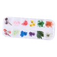 thumbnail image 4 of 12 Colores de Flores Secas de Uñas 3D de Uñas para Puntas Decoración de Manicura - Flor de Flor de cinco hojas, 4 of 9