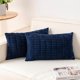 thumbnail image 1 of Chenchen Pack of 2 Corduroy Decorative Throw Pillow Covers 12x20 InchSoft Boho Striped Pillow Covers Modern Farmhouse Home Decor for Sofa Living Room Couch Bed(Blue), 1 of 1