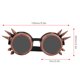 thumbnail image 2 of Gafas de montar gafas vintage ABS con lentes extraíbles para ciclismo al aire libre para cosplay ANGGREK Otros, 2 of 7