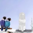 thumbnail image 3 of 2 PCS Bird Water Dispenser Bird Water Feeder No Mess Bird Food Container Treadle Feeder Squirrel Head Feeders for outside Solar Power Feeder Proof Squirrel Feeder Hand Hummingbird Feeder, 3 of 3
