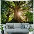 thumbnail image 4 of BCIIG  Nature Forest Thick Tree Wall Tapestry, Enchanted Scenery Road Green Trees Jungle Tapestry Wall Hanging For Living Room Bedroom Home Dorm Therian Room Decorations  40x60inch, 4 of 6