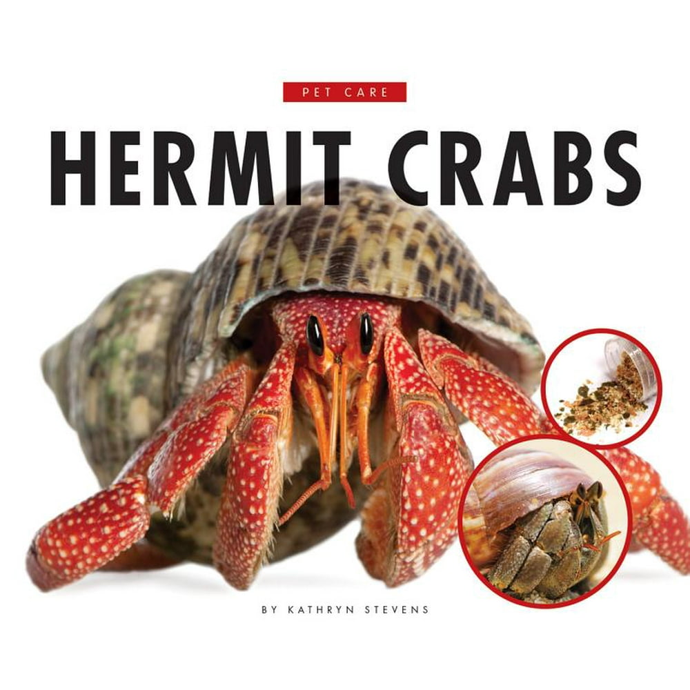 Pet Care Hermit Crabs (Hardcover)