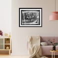 thumbnail image 3 of Historic Framed Print, Am. Forestry Ass'n, Old Oak in Tampa Bay Hotel grounds, Tampa, Fla., 17-7/8" x 21-7/8", 3 of 9